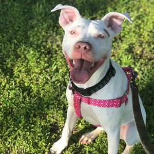 Meet your Posher, Charlene